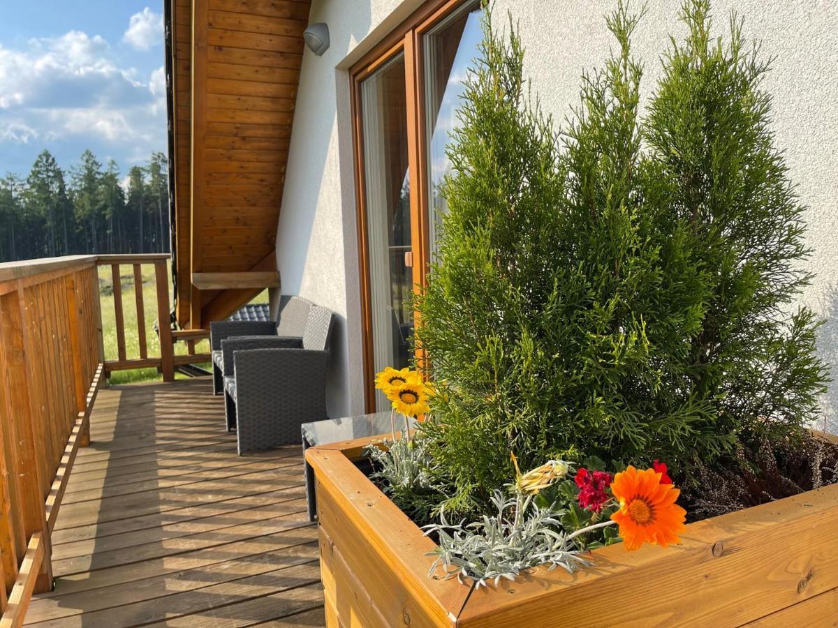 Apartmány MAX Vaclavov u Bruntalu Exterior foto